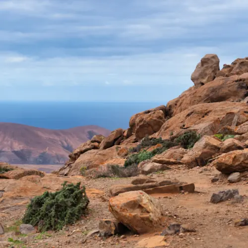 iStock-1297798138risco penas_result